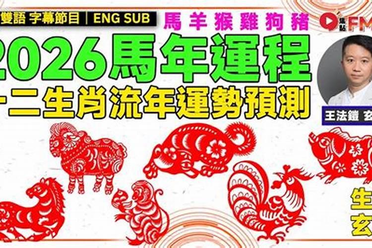 1979肖羊2026年运程
