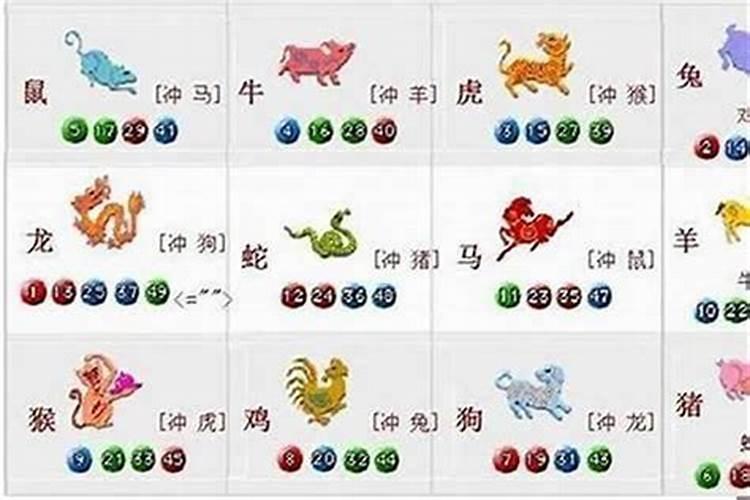 生肖合八字会不会不合？