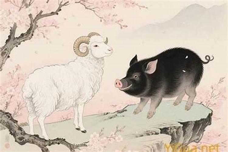 属猪和属羊八字合吗？