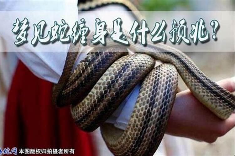 梦见蛇缠身是什么预兆男？