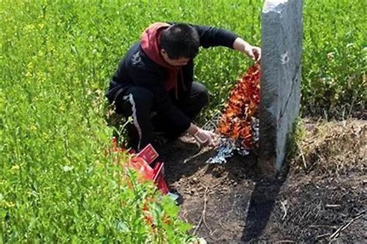 梦到上坟是怎么回事儿？