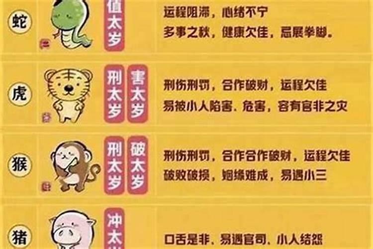 属蛇犯太岁怎么化解？