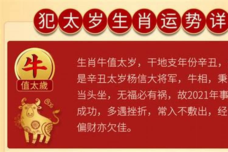 牛年本命年想对自己说的话有哪些？