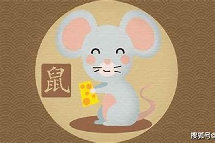 属虎的鼠年的运程怎么样？