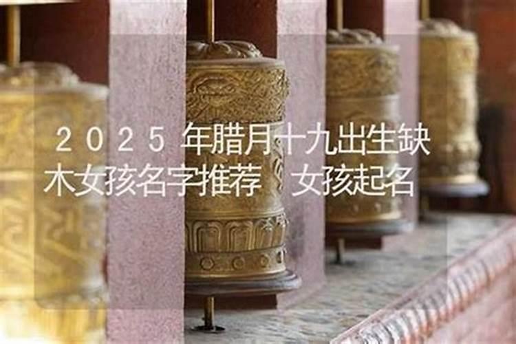腊月出生女孩起名精选
