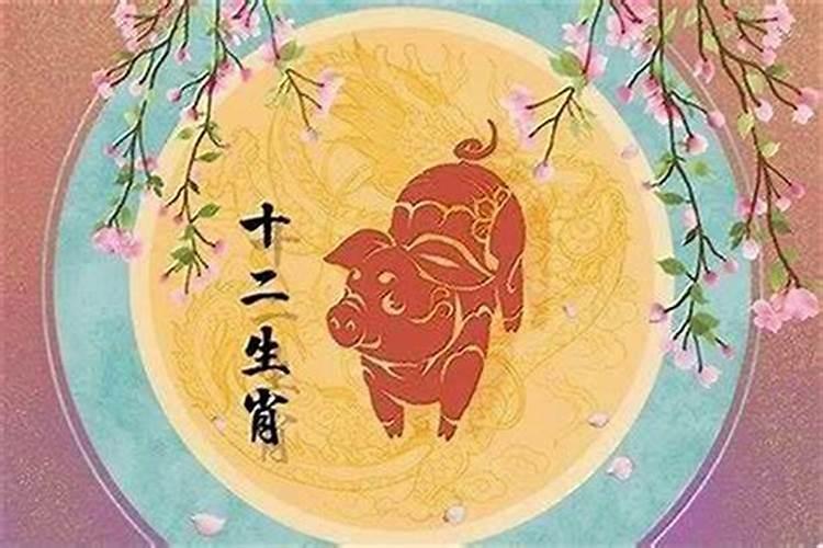 属猪在2026年的运势