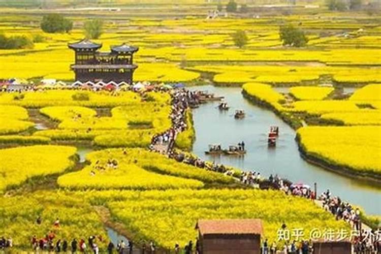 清明节去哪里玩？