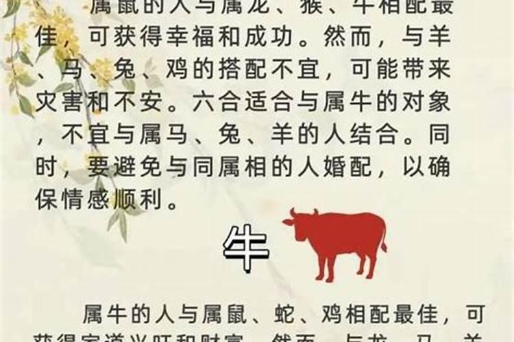 男属牛跟女属牛合婚吗？