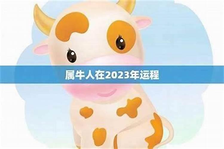 属牛85年农历91月今年运势