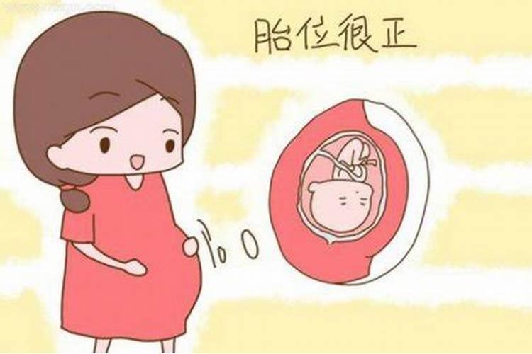 孕妇梦见红萝卜生什么？