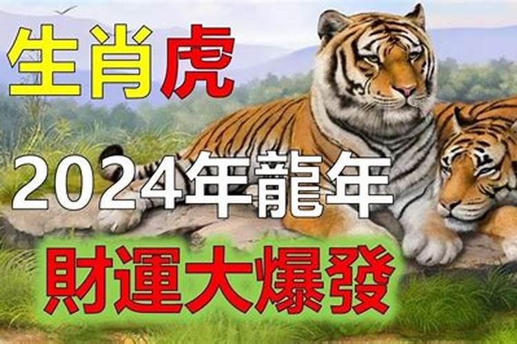 今年老虎婚事运势