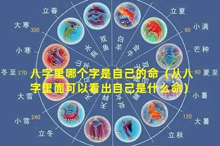 从八字可以看出什么？