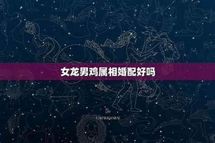 乙丑女与庚戌男合婚吗？