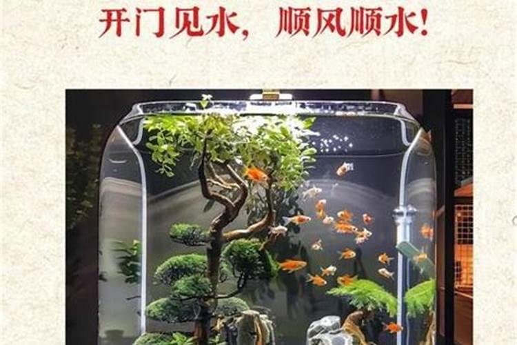 养鱼可以改变运势吗？