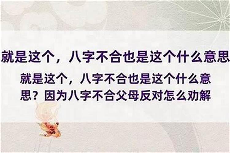 父母因为八字不合不同意