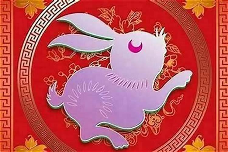 属兔能在本命年结婚吗女？