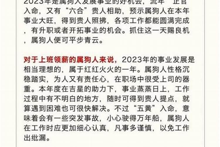 82年女属狗本命年运势如何？