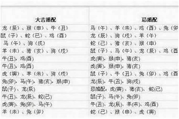 属狗的找属什么的合婚？