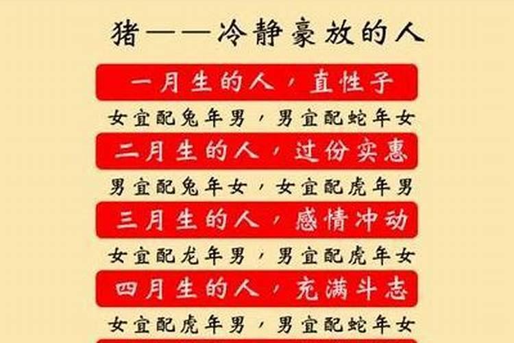 属猪婚配什么属相？