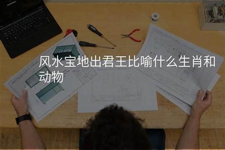 风水宝地出贵人是什么生肖？