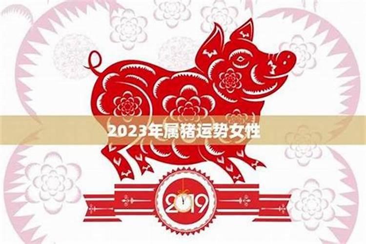 女属猪2026年运势