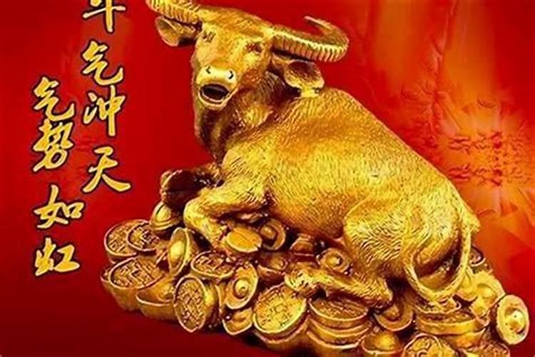 本命年如何增加财运和运气？