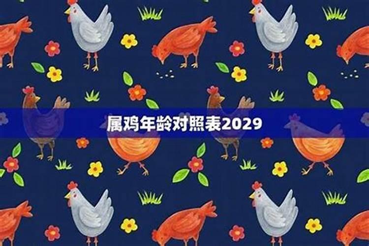 鸡年子时出生的男孩2026运势
