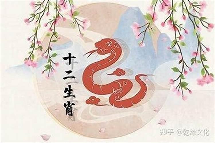 属蛇和女属狗合婚吗？