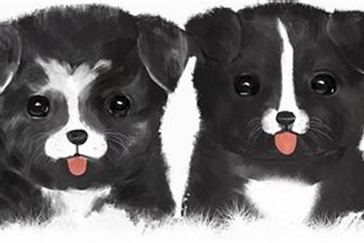 梦见黑狗和我很亲密什么意思？