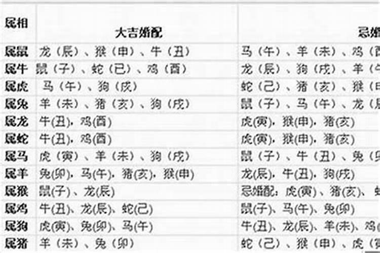 虎羊狗和什么属相婚配？