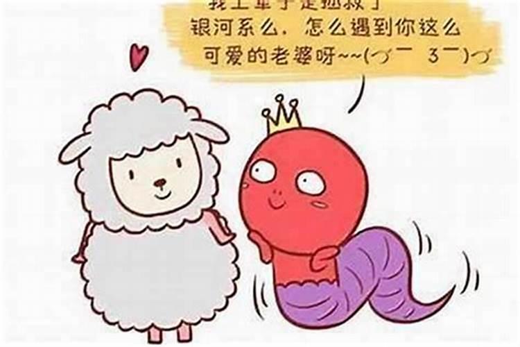 男羊52女蛇54合婚吗？