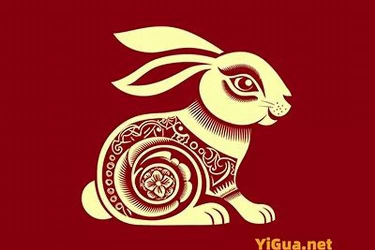 属兔婚配什么属相最好？