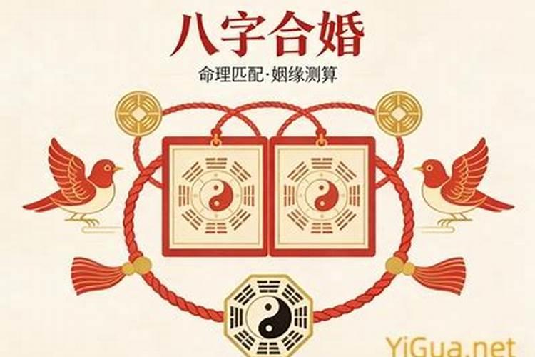 怎么合八字？