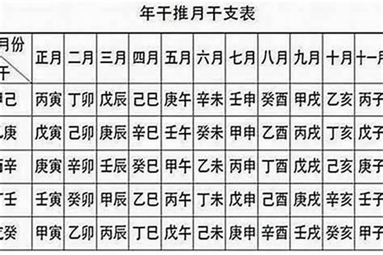 94年十月初一出生的运势