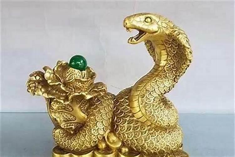 属蛇人如何提升自己的财运？