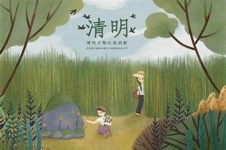 清明节哪几年在4月6号？