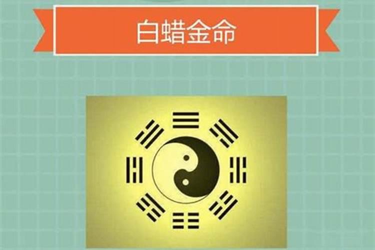 金命是什么意思？