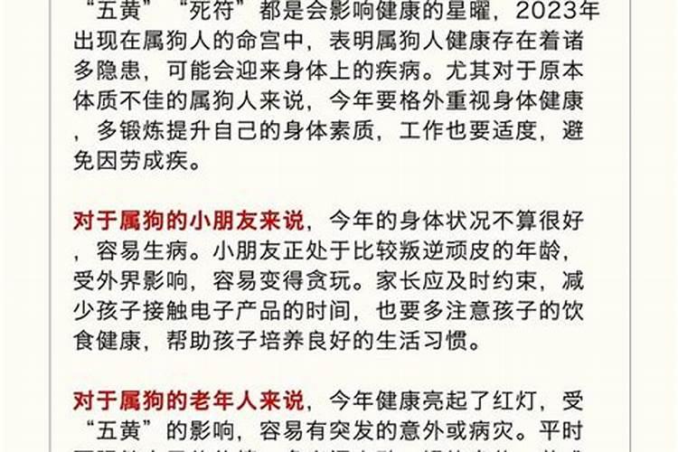 属狗运气不好如何转运？