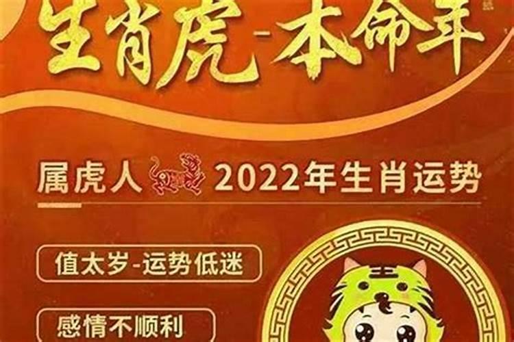 74虎人从2026年运程
