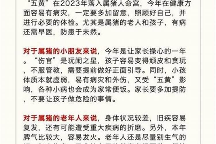 猪年属什么虎人运程？