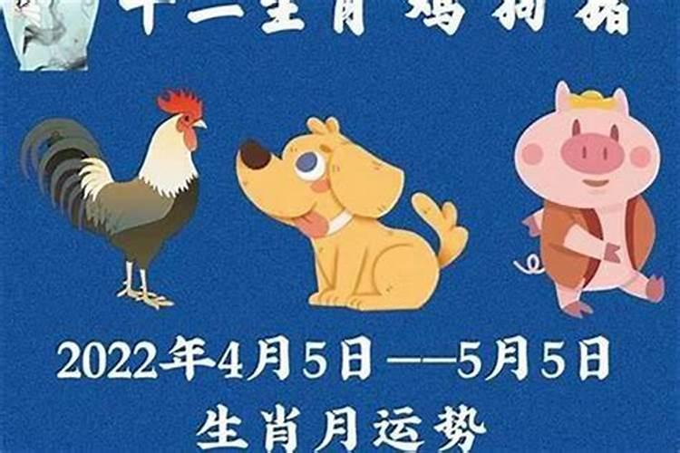 属鸡五月运势如何？