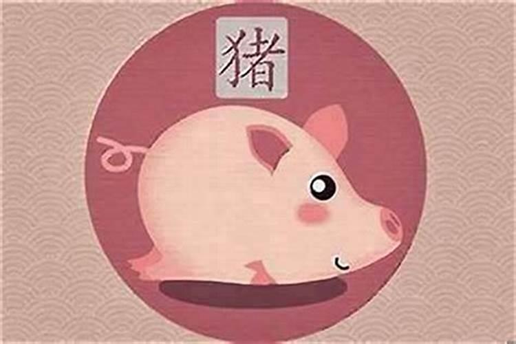 属猪1月运程如何？