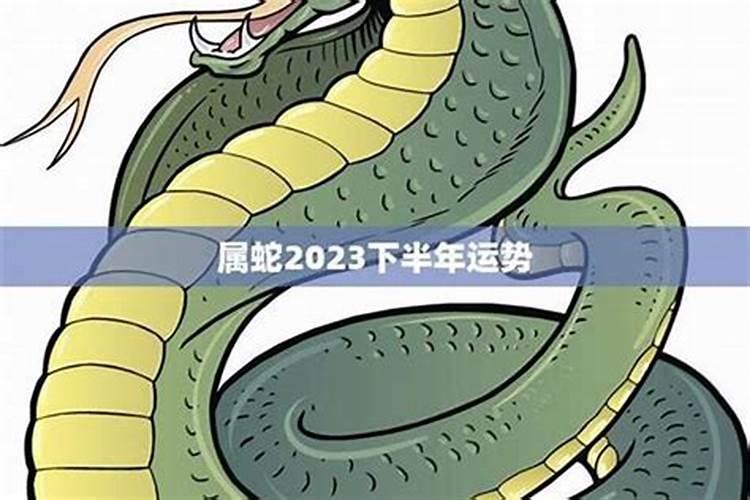 蛇在鸡年下半年运势