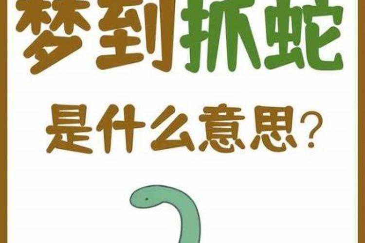 梦见一条蛇是什么预兆？