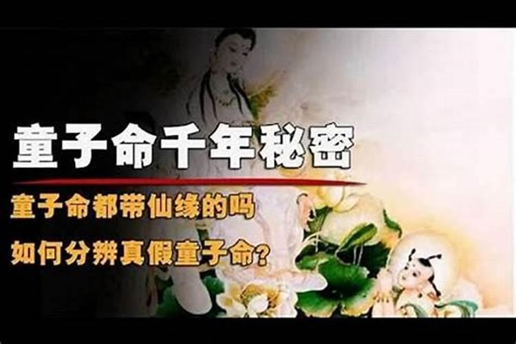 童子命容易带仙缘吗？
