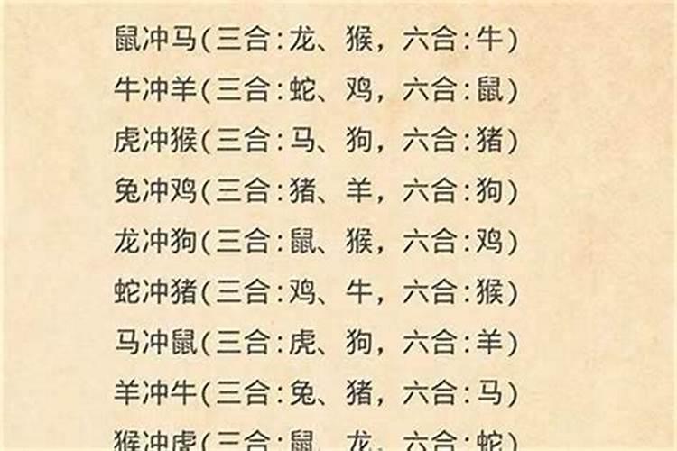 男龙和女羊八字合吗？