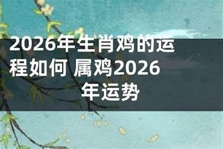 鸡月运势2026年运程