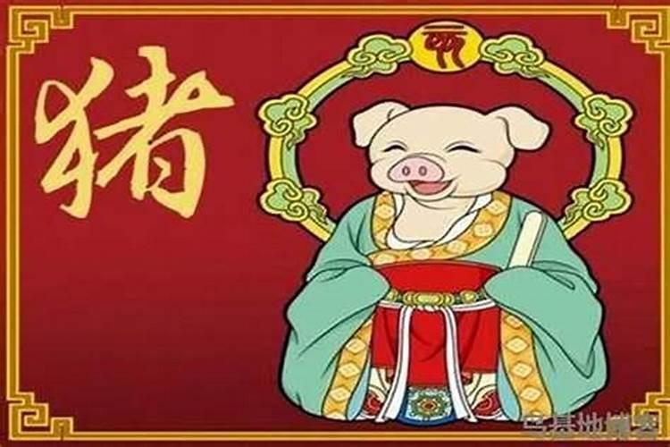 属猪十月初一出生好不好？