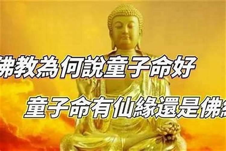 佛教如何看待童子命？