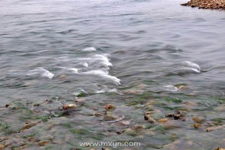 梦见大河水涨得满满的在游泳